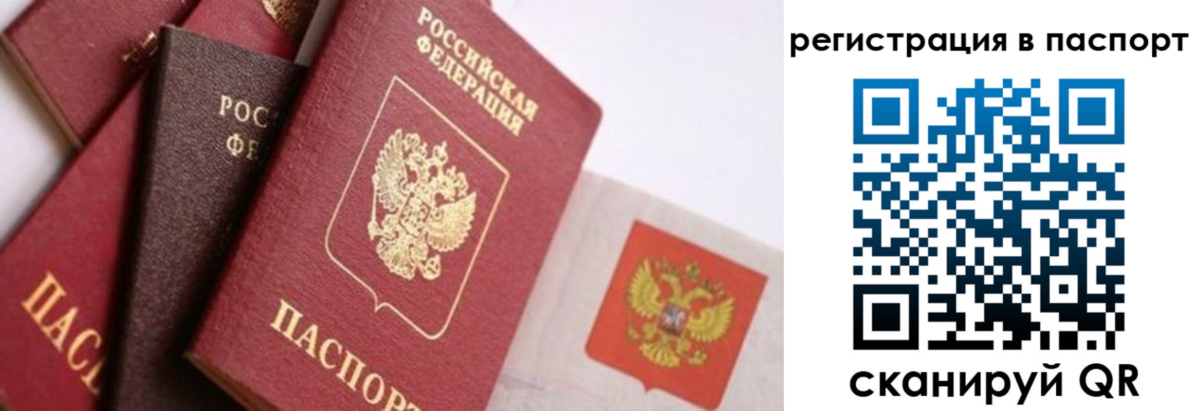 прописка в квартире в Электростали